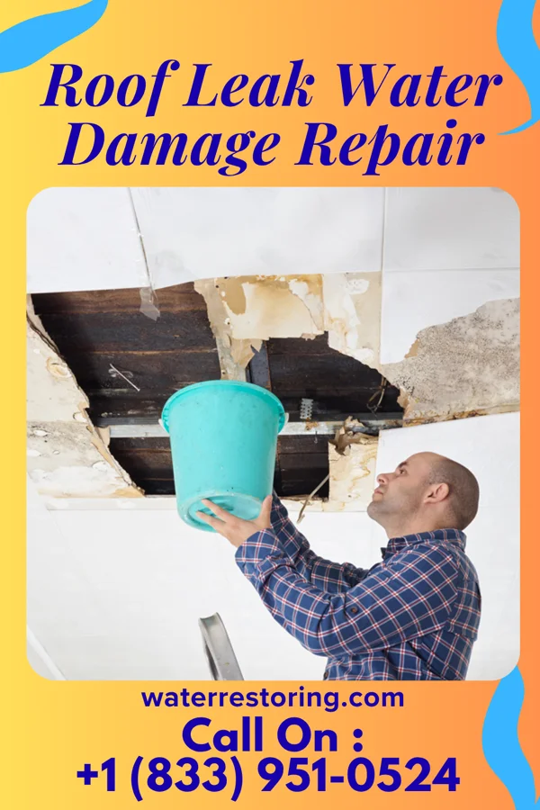 Roof Leak Water Damage Repair in Spencer, WV