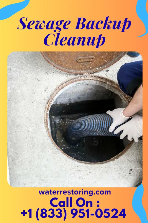 Sewage Backup Cleanup in Spencer, WV