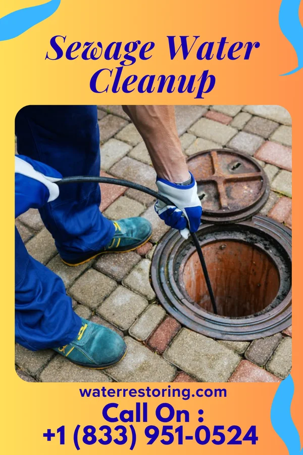 Sewage Water Cleanup in Spencer, WV