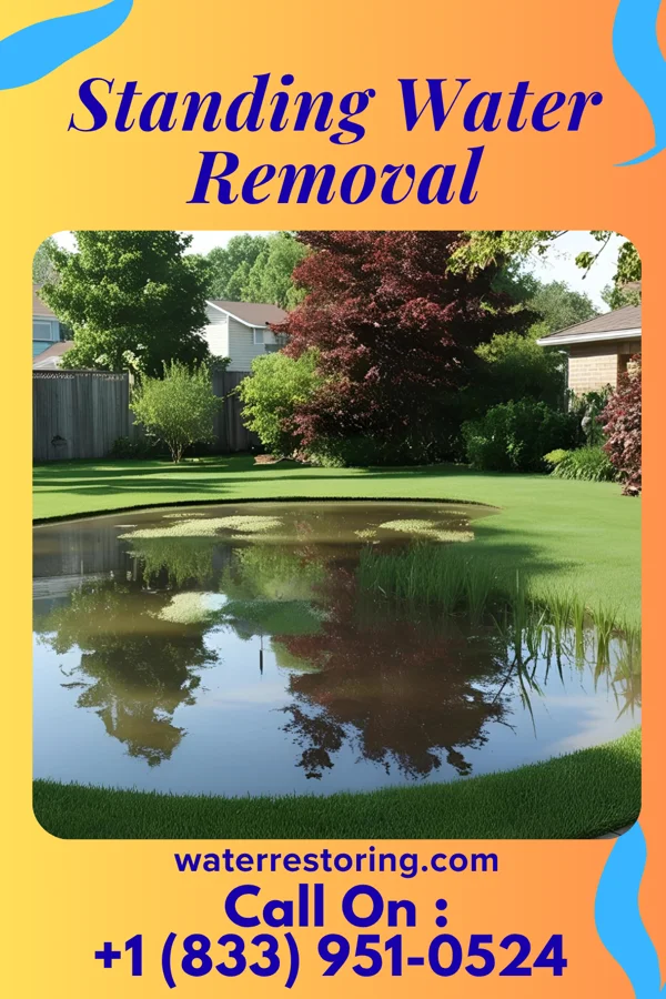 Standing Water Removal in Spencer, WV